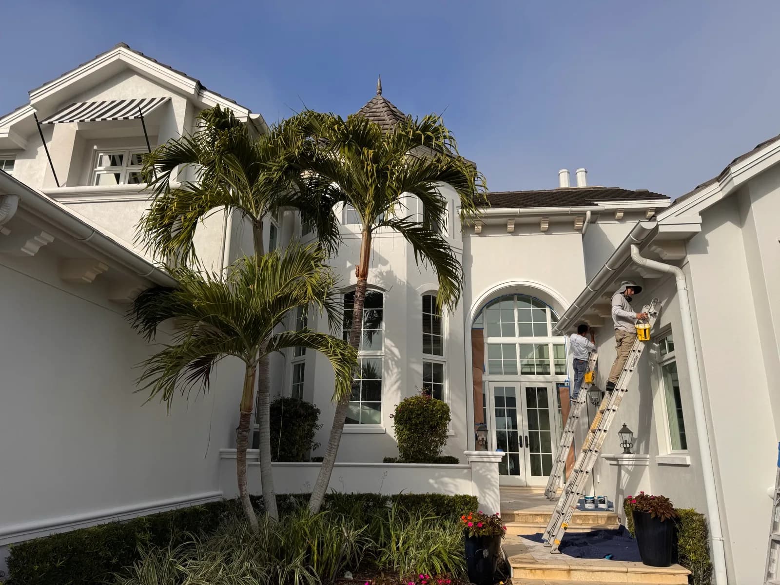 Crew member on a ladder against a palm-lined elevation