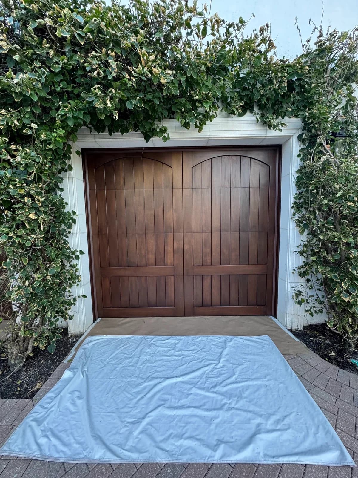 Timber garage door refinished beneath climbing ivy